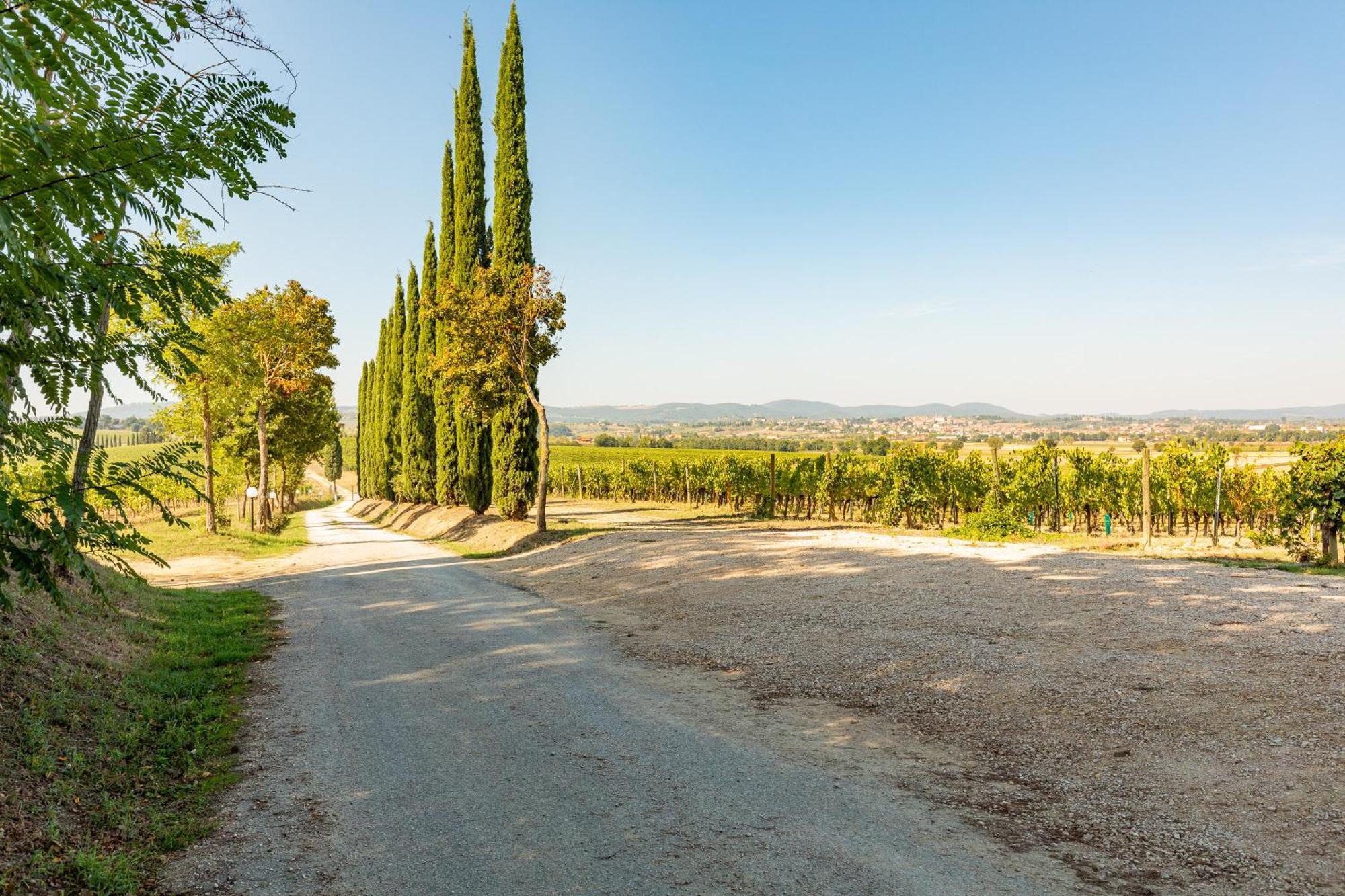 Vermentino Villa Montepulciano Stazione Dış mekan fotoğraf