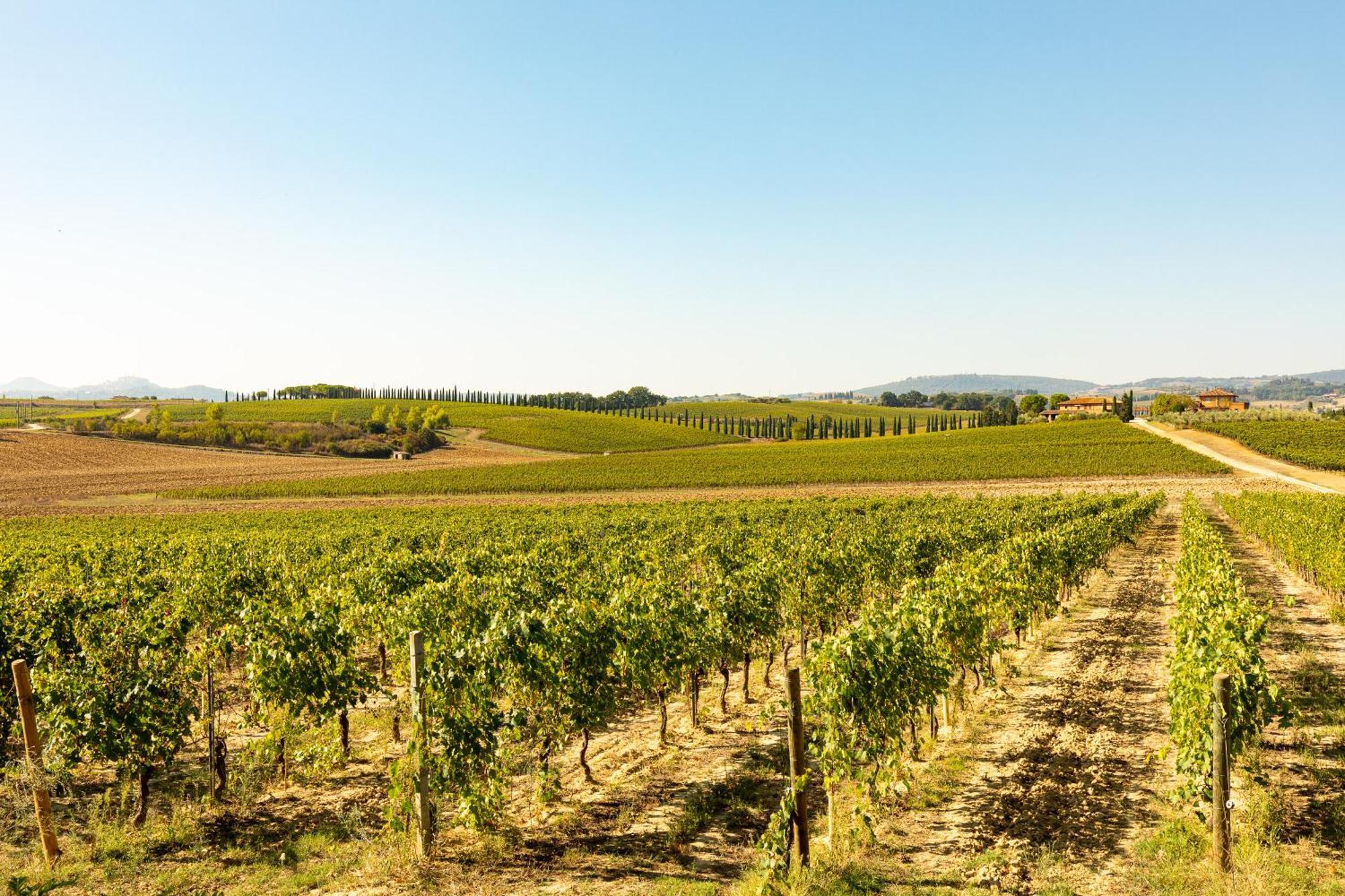 Vermentino Villa Montepulciano Stazione Dış mekan fotoğraf