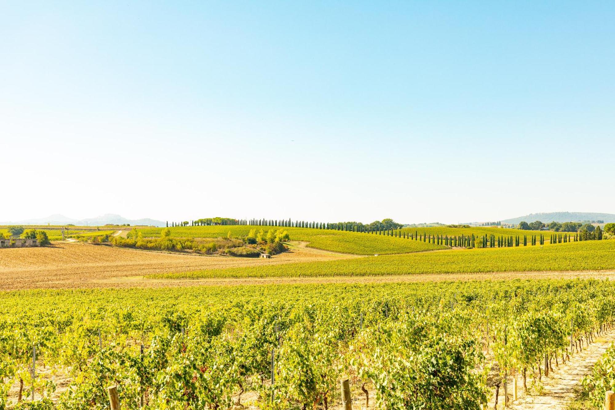 Vermentino Villa Montepulciano Stazione Dış mekan fotoğraf