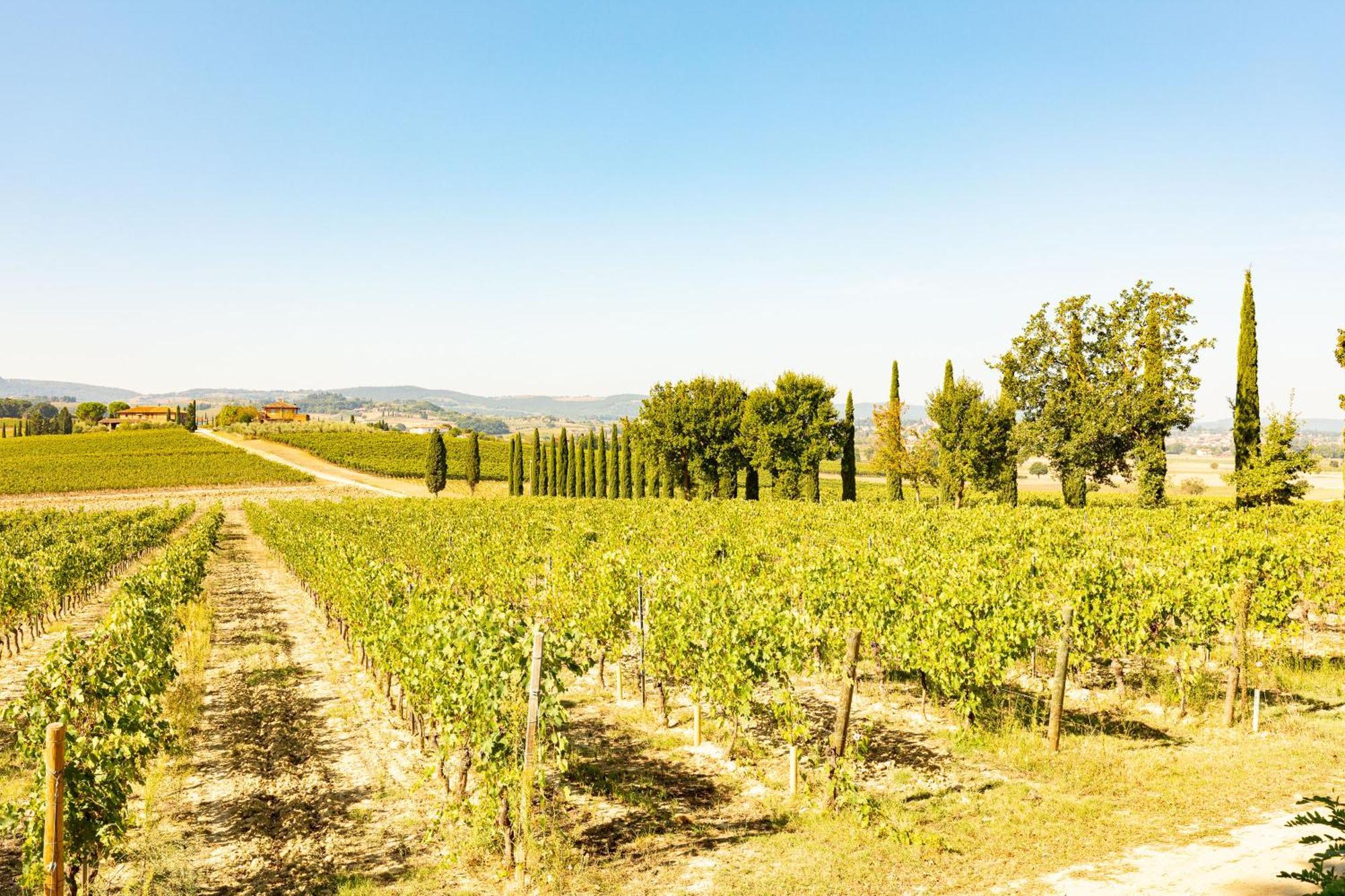 Vermentino Villa Montepulciano Stazione Dış mekan fotoğraf